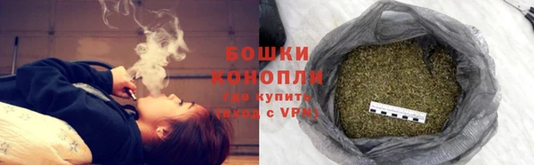 PSILOCYBIN Балахна
