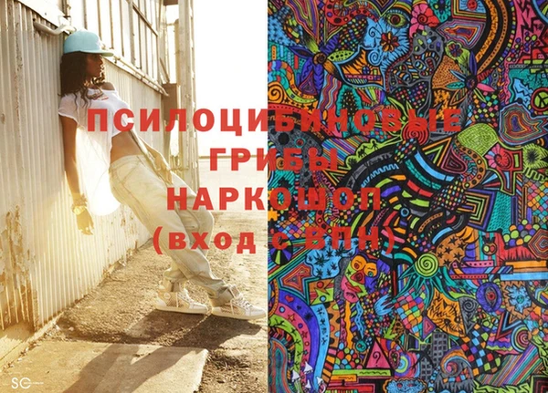 PSILOCYBIN Балахна